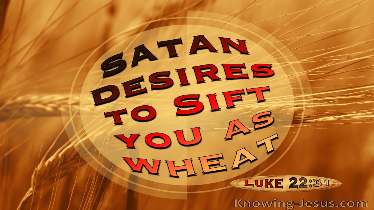 Luke 22:31 Satan Desires To Sift You As Wheat (red)